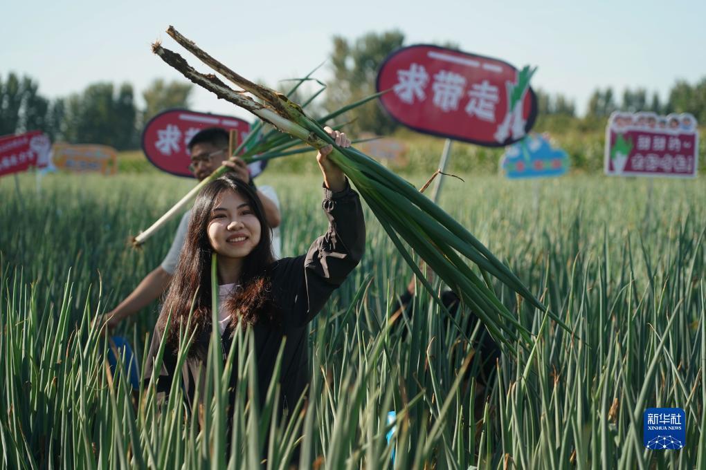 斗牛游戏大平台